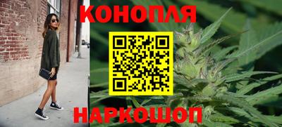 бошки Будённовск