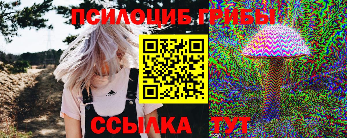 Галлюциногенные грибы ЛСД Тимашёвск
