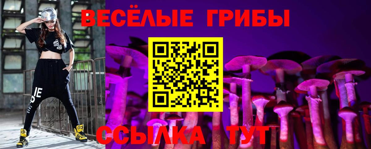 Псилоцибиновые грибы GOLDEN TEACHER  Вход с VPN  Тимашёвск 